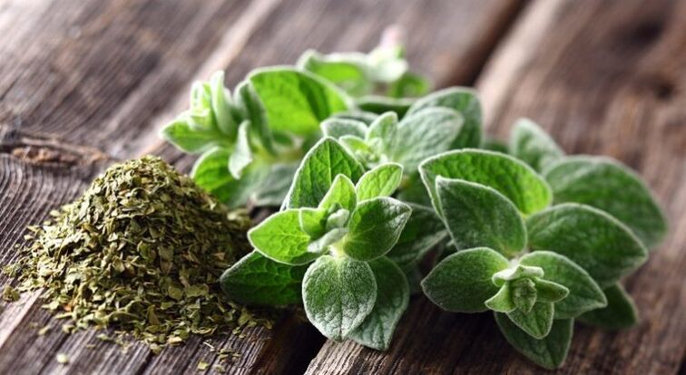 Oregano works against parasites