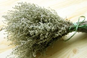 Wormwood for removing parasites