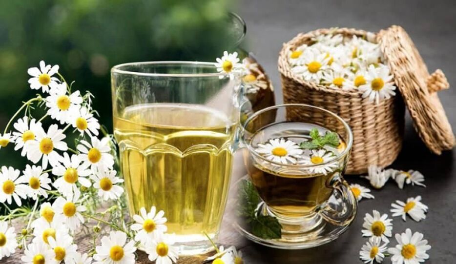 Decoction of chamomile for parasites