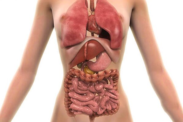 Parasites in the human body