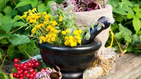 Herbs against worms
